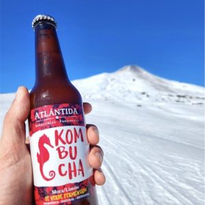 KOMBUCHA MORA LIMÓN, ATLÁNTIDA 330 cc