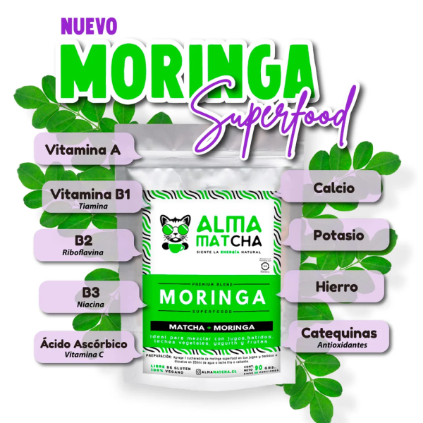 MORINGA + MATCHA SUPERFOOD, ALMA MATCHA 90 g